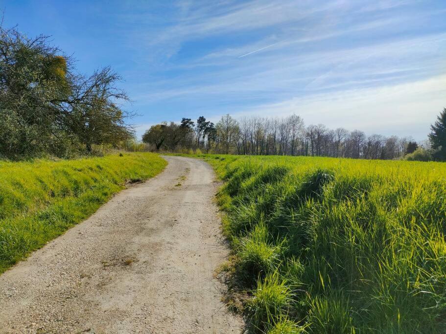 *Gite Aux Grappes Du Pressoir* A 2 Km De Beauval Seigy Экстерьер фото